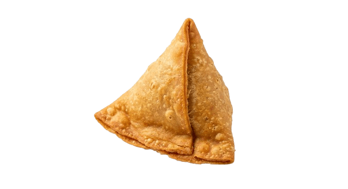 Crispy Indian Samosa